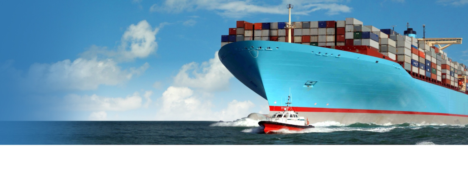FREIGHT FORWARDING NZ Specialized Logistics NZSL New Zealand